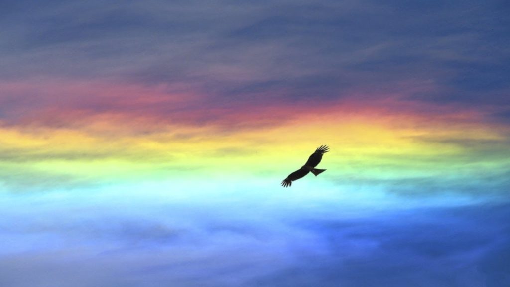 Aigle volant à ailes déployées dans le sens de courants de couleurs arc-en-ciel en arrière-plan