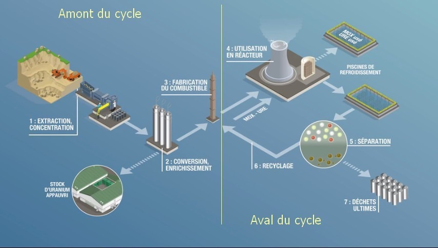 Infographie représentant le cycle du combustible nucléaire