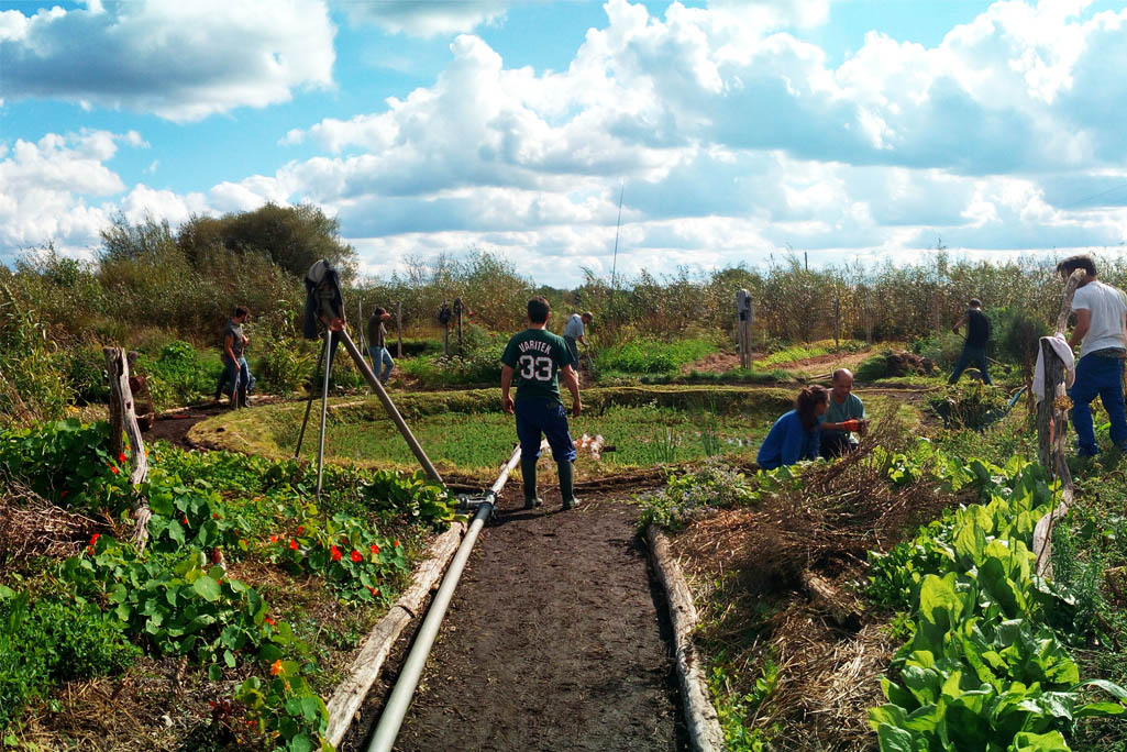 Personnes travaillant dans un jardin en permaculture