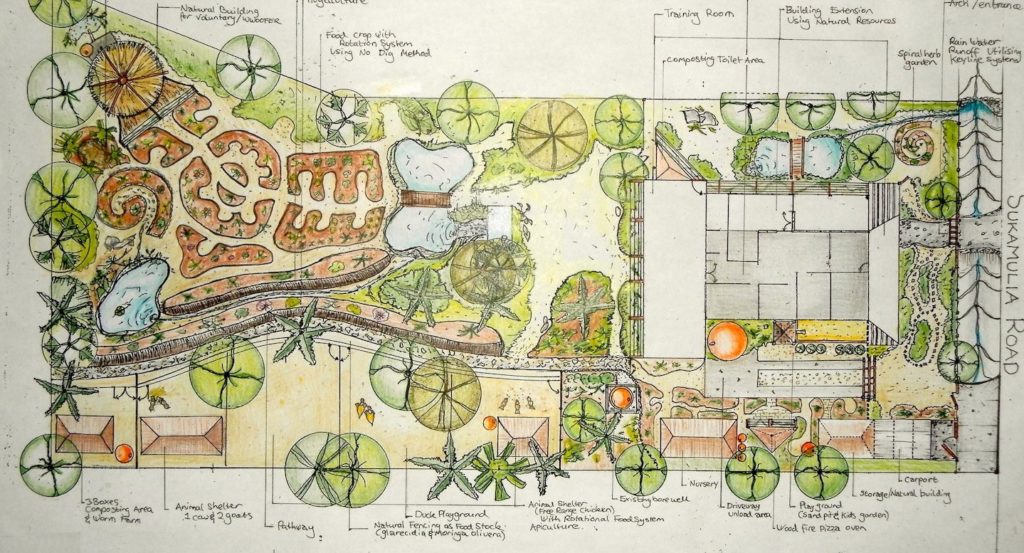 Exemple de dessin plan de design de permaculture