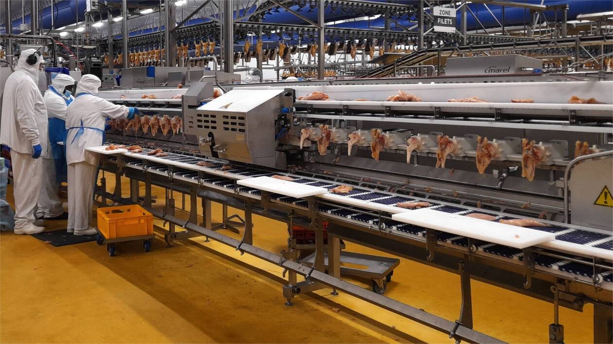 Expertise, diagnostic et amélioration des conditions de travail dans une usine agroalimentaire